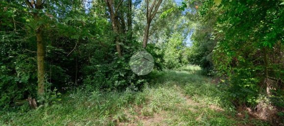 Вилла с 4 спальнями в Бентивольо, Италия № 222164 11