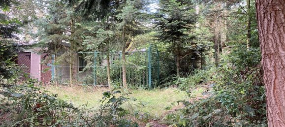 Дом с 3 комнатами в Бёрде, Германия № 272172 9