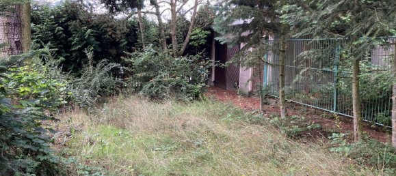 Дом с 3 комнатами в Бёрде, Германия № 272172 8