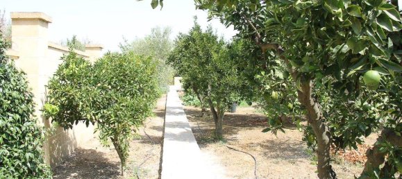 3 غرف نوم فيلا في Matino, Italy رقم 86709 30