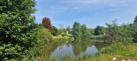 Grundstück in Bourguignon-sous-Montbavin, France 10000m², Nr. 241946 10