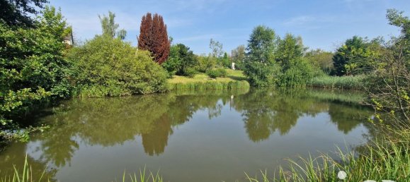 Grundstück in Bourguignon-sous-Montbavin, France 10000m², Nr. 241946 4