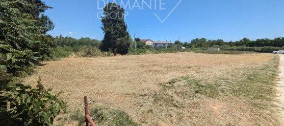 2 bedrooms House in Castiglione del Lago, Italy No. 159970 7