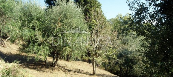 8 rooms House in Montopoli in Val d'Arno, Italy No. 236667 26