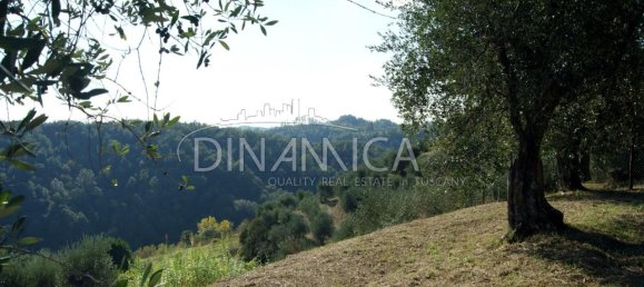 8 rooms House in Montopoli in Val d'Arno, Italy No. 236667 11