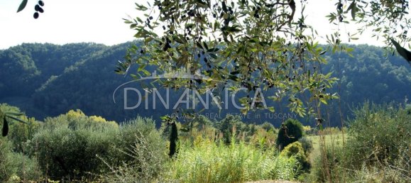 8 rooms House in Montopoli in Val d'Arno, Italy No. 236667 28