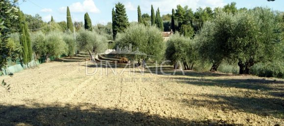 8 rooms House in Montopoli in Val d'Arno, Italy No. 236667 8