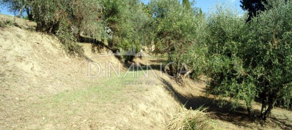 8 rooms House in Montopoli in Val d'Arno, Italy No. 236667 9