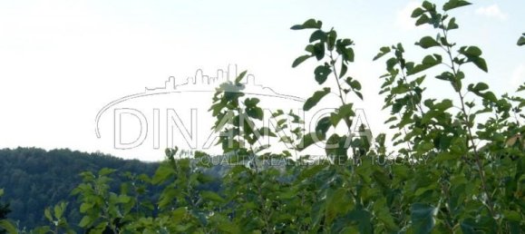 8 rooms House in Montopoli in Val d'Arno, Italy No. 236667 12