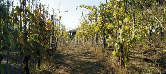 8 rooms House in Montopoli in Val d'Arno, Italy No. 236667 5