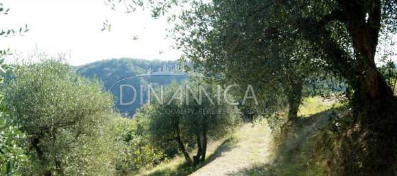 8 rooms House in Montopoli in Val d'Arno, Italy No. 236667 27