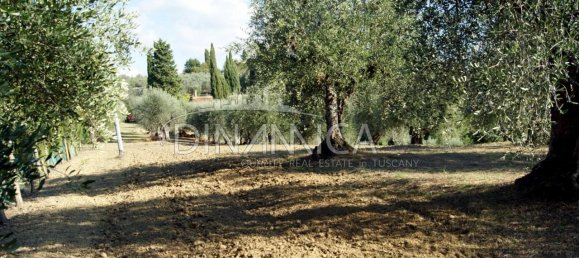 8 rooms House in Montopoli in Val d'Arno, Italy No. 236667 30