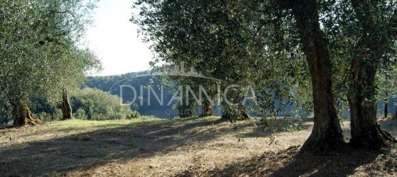 8 rooms House in Montopoli in Val d'Arno, Italy No. 236667 31