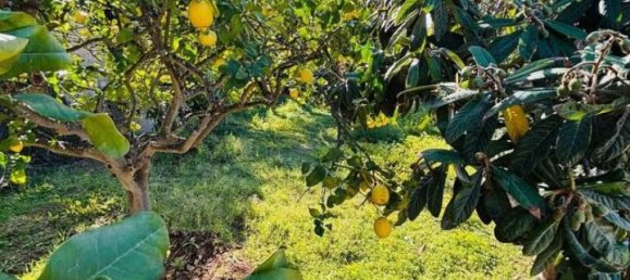 Estúdio em Syracuse, Italy N.º 242530 10