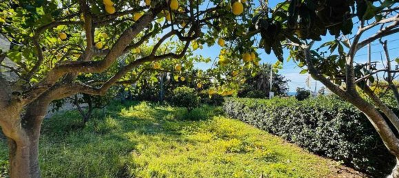 Estúdio em Syracuse, Italy N.º 242530 8