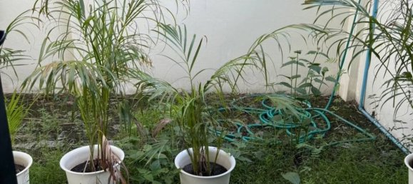 2 bedrooms Commercial property in Chiang Mai, Thailand No. 10798 17