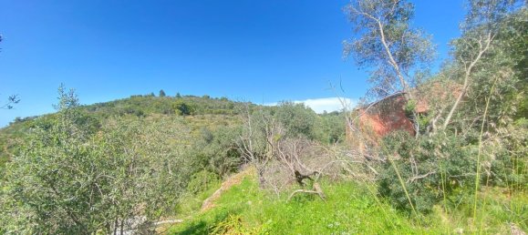 Casa de 4 divisões em Monte Argentario, Italy N.º 178837 17