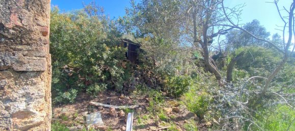 Casa de 4 divisões em Monte Argentario, Italy N.º 178837 15