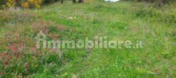 4 غرف نوم شقة في Caronia, Italy رقم 224347 20