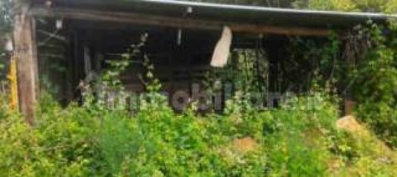 4 غرف نوم شقة في Caronia, Italy رقم 224347 15