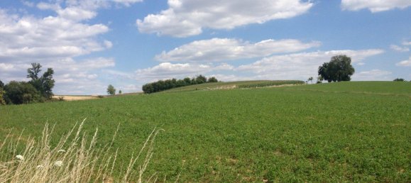 Земельный участок в Рейн-Неккар, Германия № 238019 3