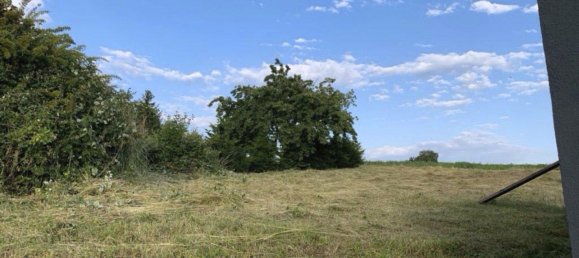 Земельный участок в Рейн-Неккар, Германия № 238019 2