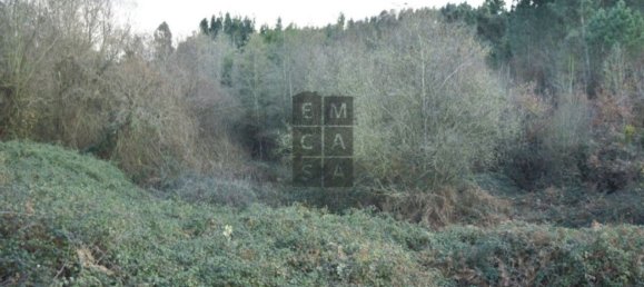 Terrain à Santa Maria da Feira, Portugal 38500m² No. 80151 2