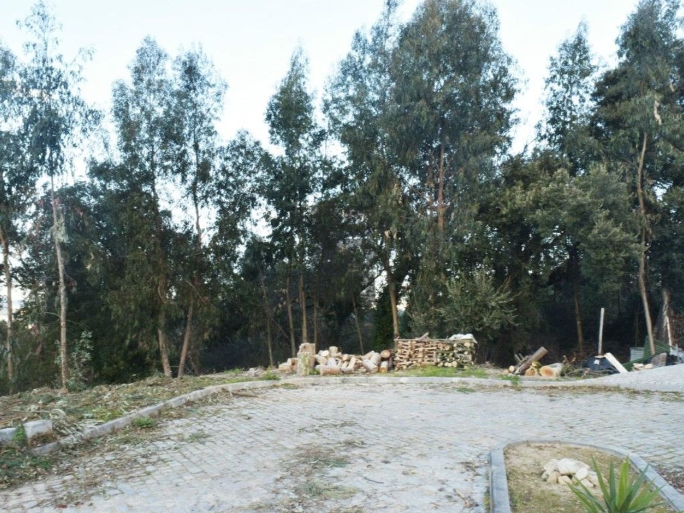 Terrain à Santa Maria da Feira, Portugal 38500m² No. 80151