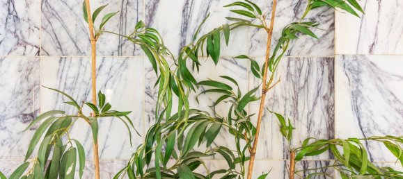 309m² Commercial property in Zaragoza, Spain No. 67699 43