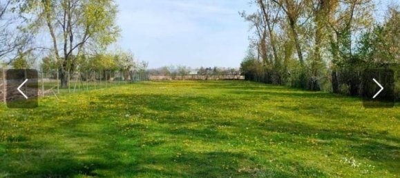 5 rooms Villa in Alessandria, Italy No. 41048 2