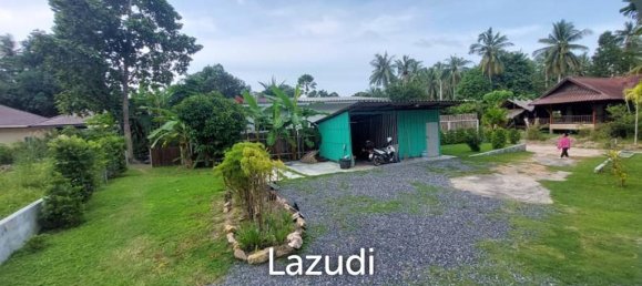 1 bedroom Cafe / restaurant in Surat Thani, Thailand No. 24946 9