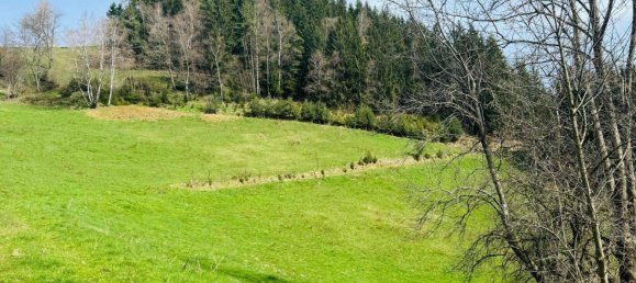 5-Zimmer Haus in Lavamünd, Austria, Nr. 14721 26