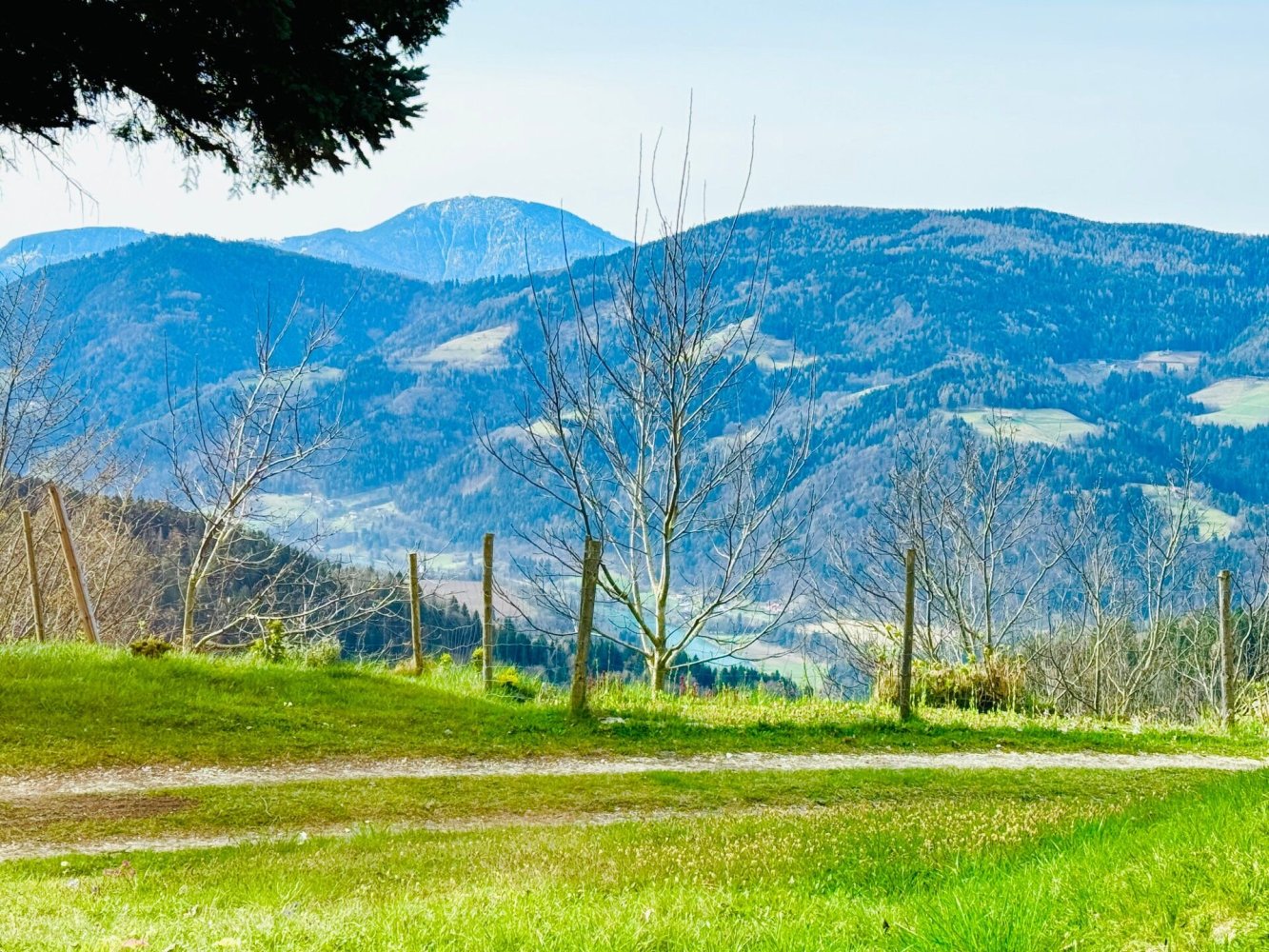 5-Zimmer Haus in Lavamünd, Austria, Nr. 14721