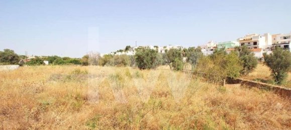 Terrain à Guia, Portugal 6660m² No. 58598 20