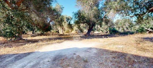 1 bedroom House in Francavilla Fontana, Italy No. 309863 15