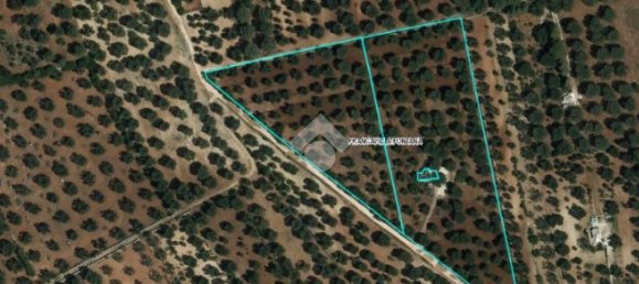 1 bedroom House in Francavilla Fontana, Italy No. 309863 17