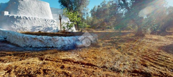 1 bedroom House in Francavilla Fontana, Italy No. 309863 14