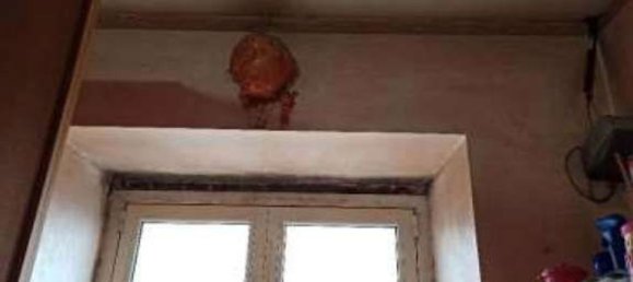 Apartamento de 5 habitaciónes en Ciciliano, Italy No. 205536 6