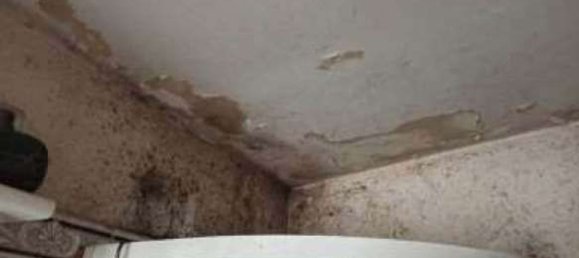 Apartamento de 5 habitaciónes en Ciciliano, Italy No. 205536 4