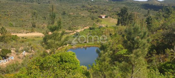230050m² Land in Sao Bartolomeu de Messines, Portugal No. 47036 16