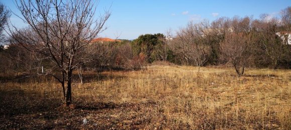 1860m² Hotel in Polygyros, Greece No. 5204 5