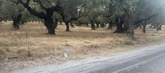  قطعة أرض في Zakynthos, Greece رقم 8574 2