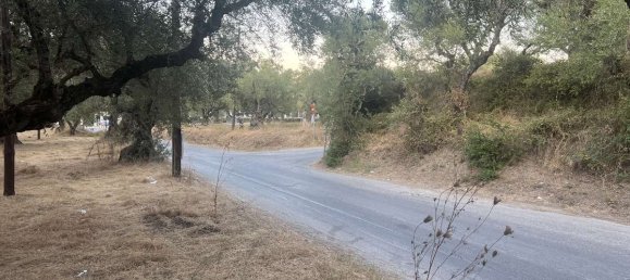 Hotel in Zakynthos, Greece, Nr. 8574 6