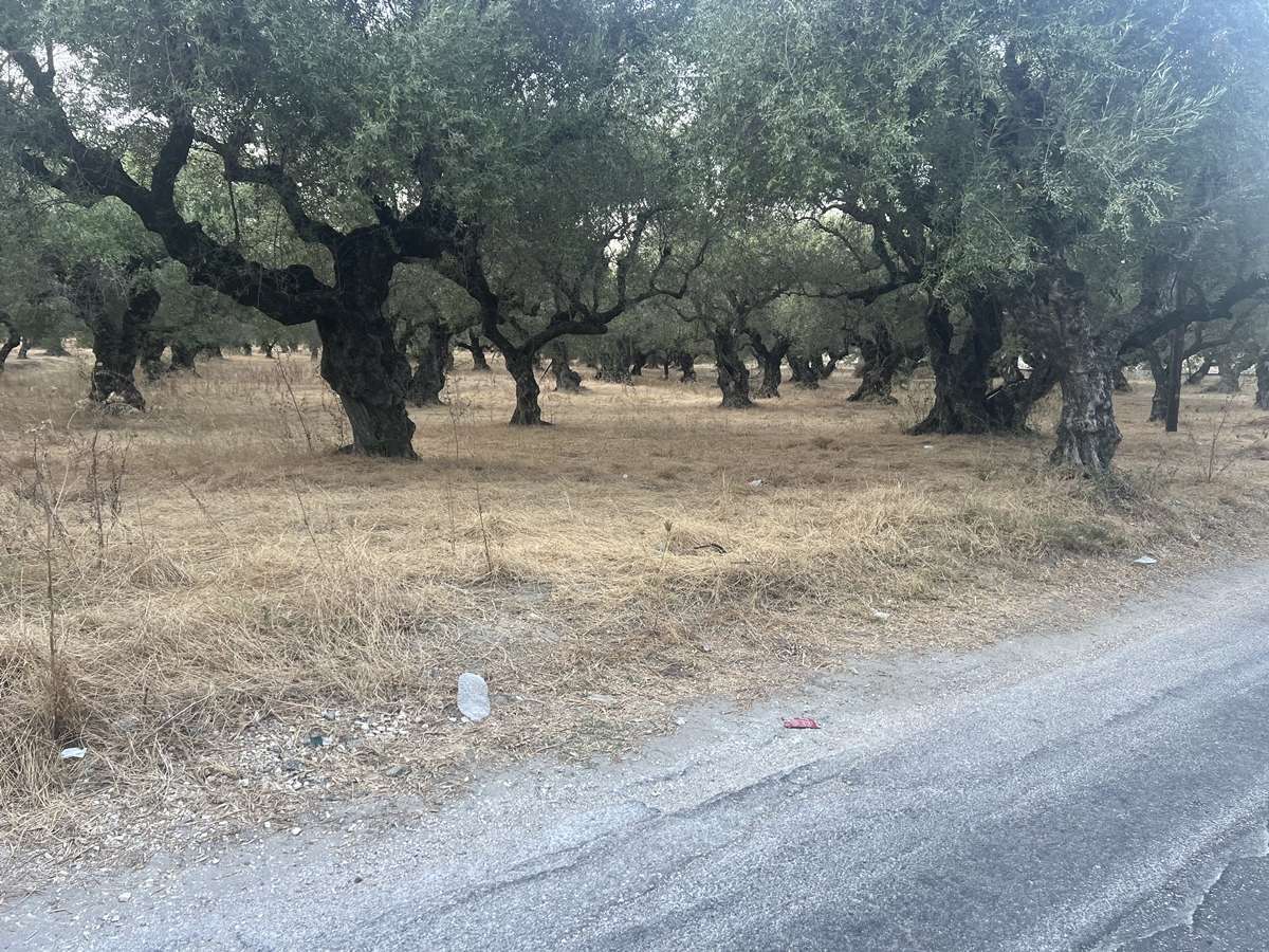  قطعة أرض في Zakynthos, Greece رقم 8574