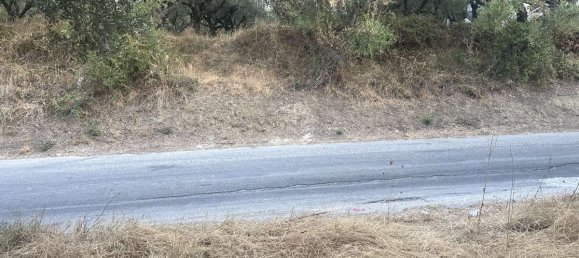 Hotel in Zakynthos, Greece, Nr. 8574 7