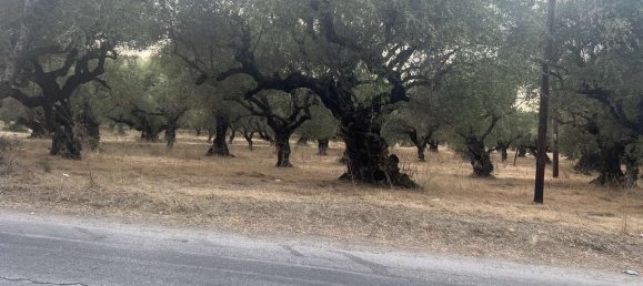  قطعة أرض في Zakynthos, Greece رقم 8574 3