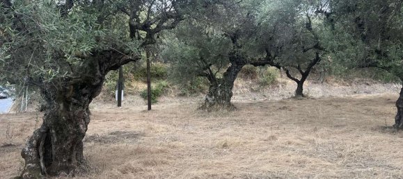  قطعة أرض في Zakynthos, Greece رقم 8574 10