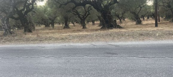  قطعة أرض في Zakynthos, Greece رقم 8574 4