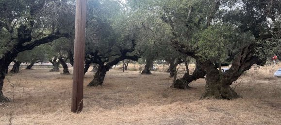 Hotel in Zakynthos, Greece, Nr. 8574 12