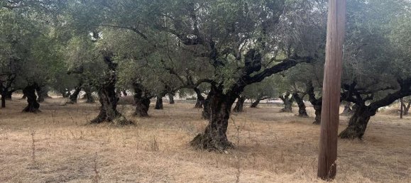  قطعة أرض في Zakynthos, Greece رقم 8574 11